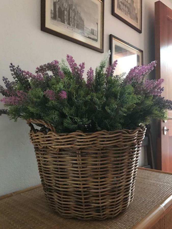 Apartament Campo Al Cerro Bolgheri Zewnętrze zdjęcie