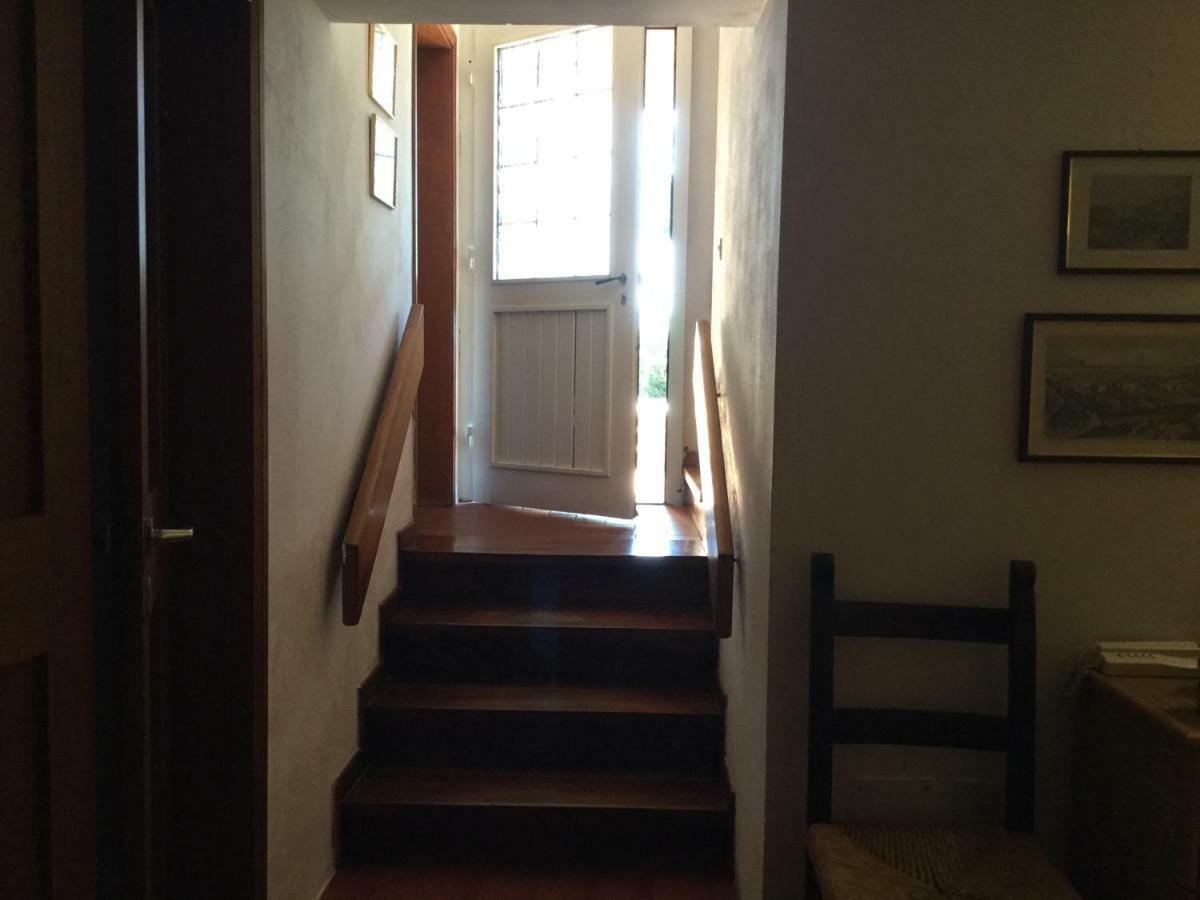 Apartament Campo Al Cerro Bolgheri Zewnętrze zdjęcie