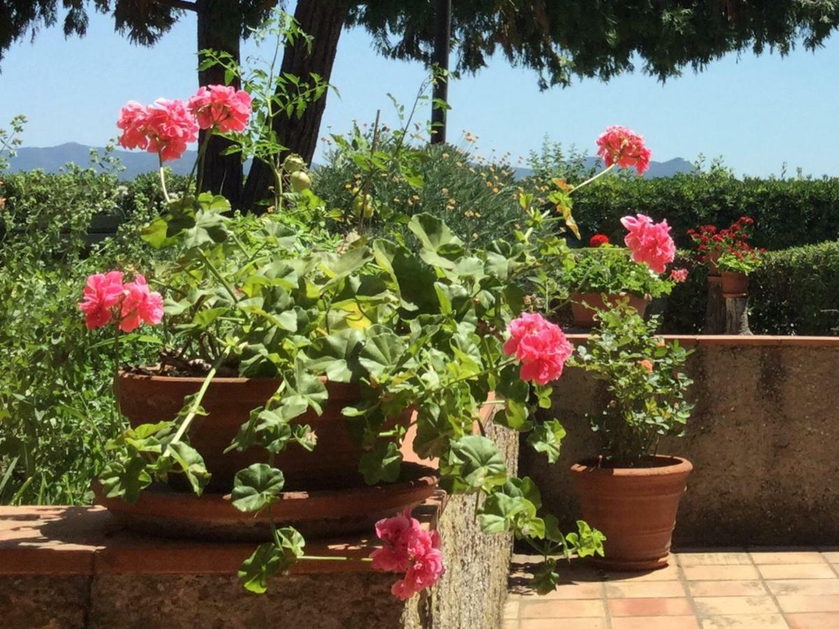 Apartament Campo Al Cerro Bolgheri Zewnętrze zdjęcie