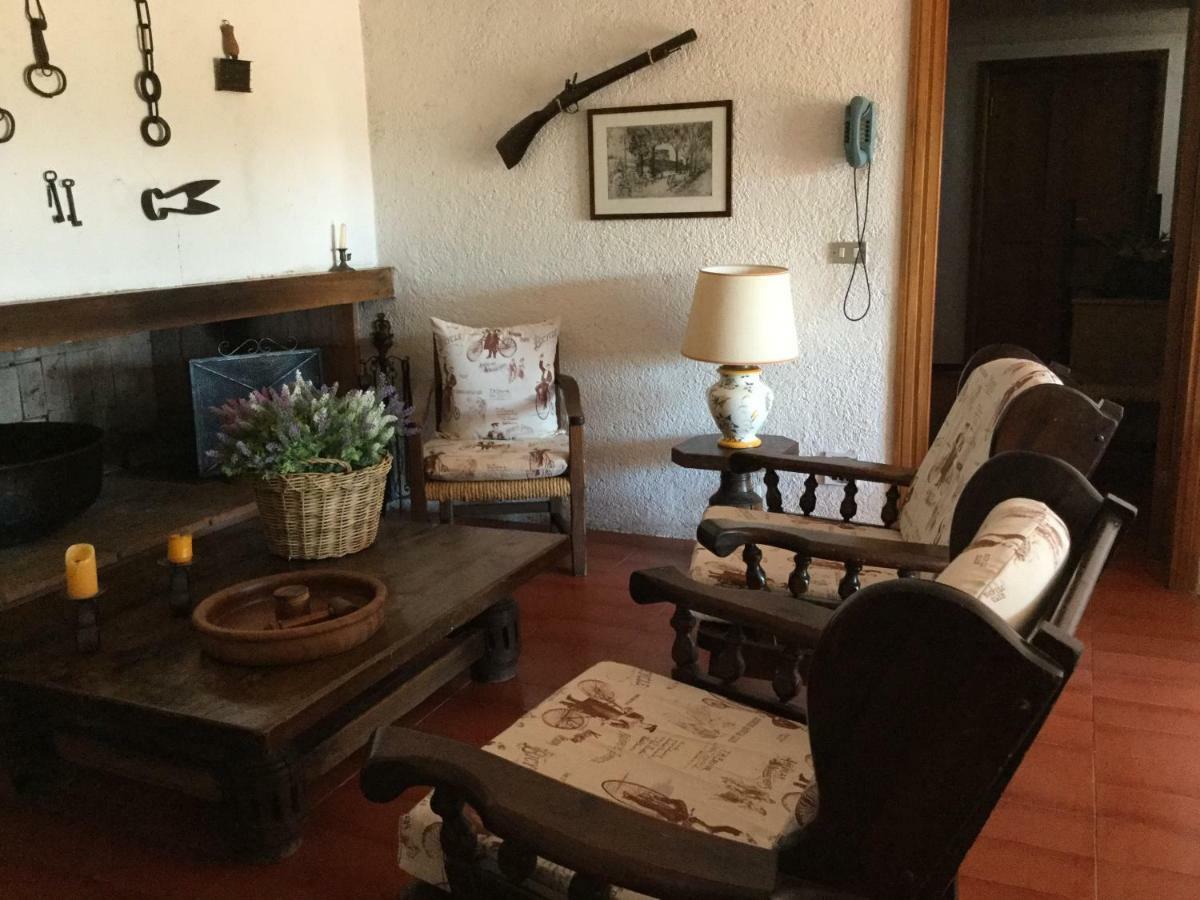 Apartament Campo Al Cerro Bolgheri Zewnętrze zdjęcie