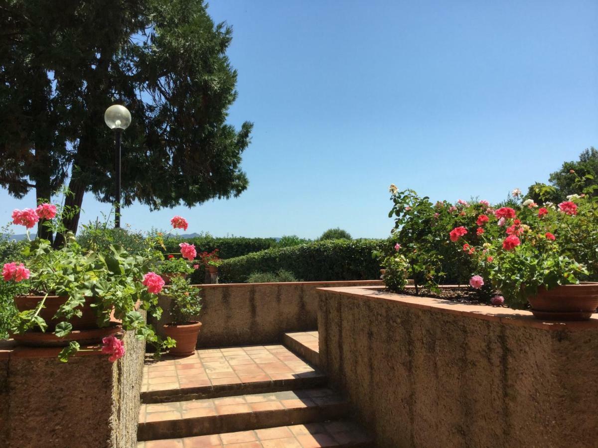 Apartament Campo Al Cerro Bolgheri Zewnętrze zdjęcie